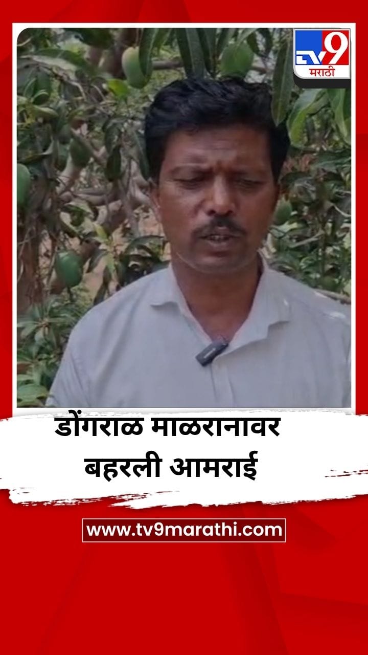 डोंगराळ माळरानावर बहरली आमराई, शेतकऱ्याची लाखो रुपयांची कमाई