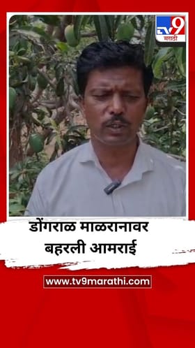डोंगराळ माळरानावर बहरली आमराई, शेतकऱ्याची लाखो रुपयांची कमाई