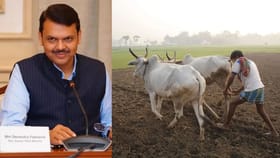 आनंदाची बातमी! शेतकरी कर्जमाफीचा मार्ग मोकळा, या तारखेपर्यंत आदेश.....