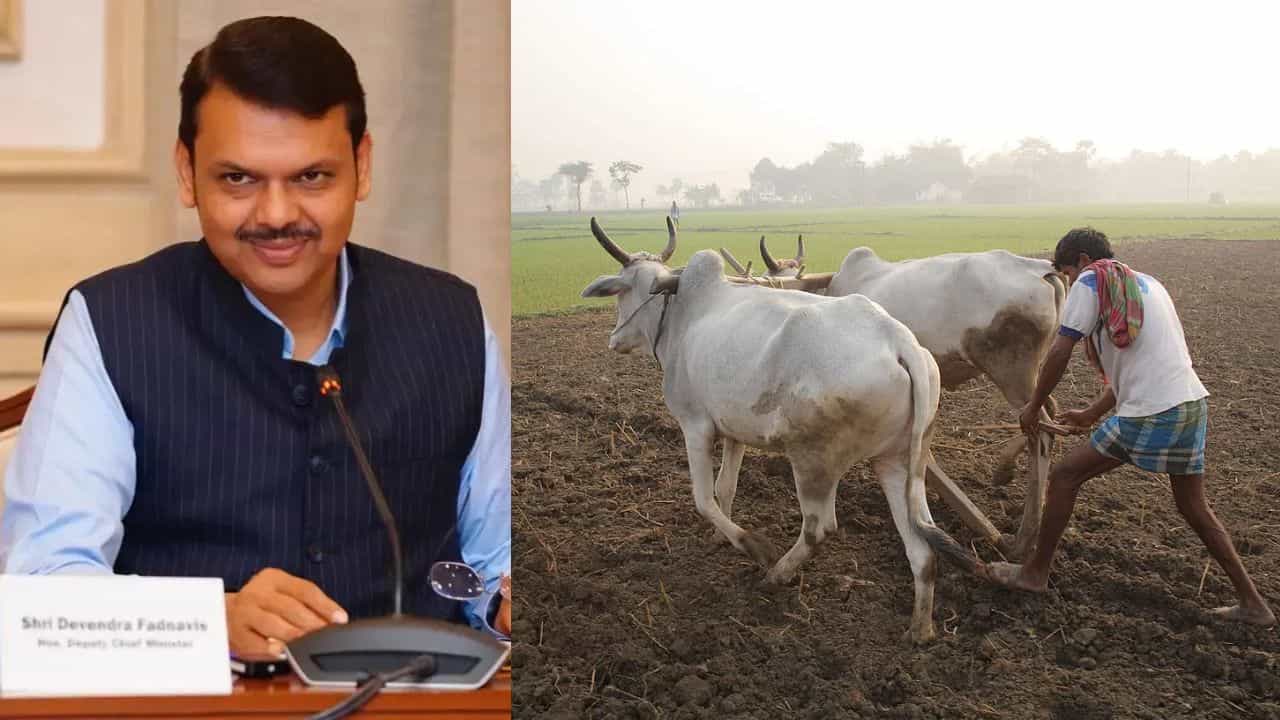 आनंदाची बातमी! शेतकऱ्यांच्या कर्जमाफीचा मार्ग मोकळा, या तारखेपर्यंत आदेश निघणार
