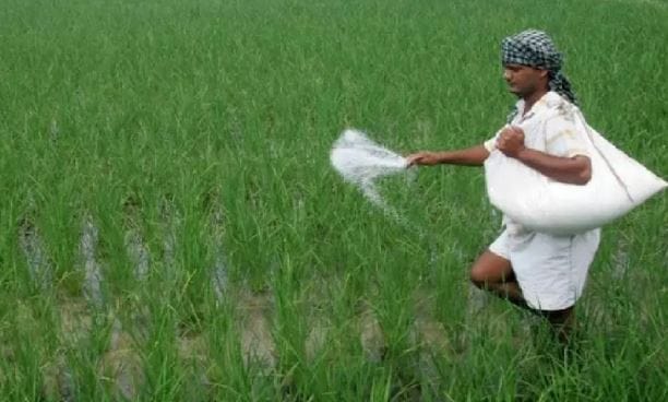 हीच भीती लक्षात घेता आता सरकारने मोठा निर्णय घेतला आहे. छत्रपती संभाजीनगरचे जिल्हा अधिकक्षक कृषी अधिकारी दीपक गवळी यांनी दिलेल्या माहितीनुसार आता शेतकऱ्याला घरबसल्या मोबाईलवर खताची बुकिंग करता येणार आहे.