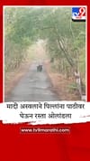 भररस्त्यात दिसले मादी अस्वलाचे मातृप्रेम, व्हिडीओ व्हायरल.