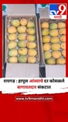 रायगड : हापूस आंब्याचे दर कोसळले बागायतदार संकटात.