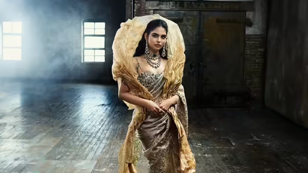 तिचा ब्लाउजही तितकाच आकर्षक होता. 200 ओल्ड कट डायमंड्सने सजवलेला हा डीप नेक ब्लाउज सुमारे 1800+ कॅरेट वजनाचा असून, तो तयार करण्यासाठी जवळपास 2000 तास लागले. या ब्लाउजवर निजाम कलेक्शनमधील ऐतिहासिक सरपेच लावण्यात आला होता, ज्यामुळे त्याला शाही लुक प्राप्त झाला. या ब्लाउजची किंमत सुमारे 200 कोटी रुपये असल्याचे सांगितले जाते.
