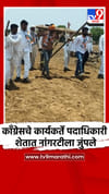 काँग्रेसचे कार्यकर्ते पदाधिकारी शेतात नांगरटीला जुंपले.