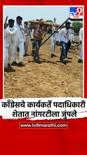 काँग्रेसचे कार्यकर्ते पदाधिकारी शेतात नांगरटीला जुंपले