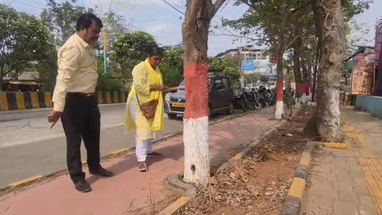 कल्याण शहराच्या सौंदर्यात भर घालणारी आणि वसंत ऋतूत गुलाबी-पिवळ्या फुलांनी रस्ते सुशोभित करणारी 'टेबेबुइया' (Tabebuia) झाडं सध्या मृत्यूच्या छायेत आहेत. कल्याण पश्चिमेतील अतिशय गजबजलेल्या गणपती चौक ते डीबी चौक दरम्यान एका अज्ञात आणि विकृत व्यक्तीने या झाडांवर जीवघेणा विषप्रयोग केल्याचा संशय व्यक्त होत आहे.