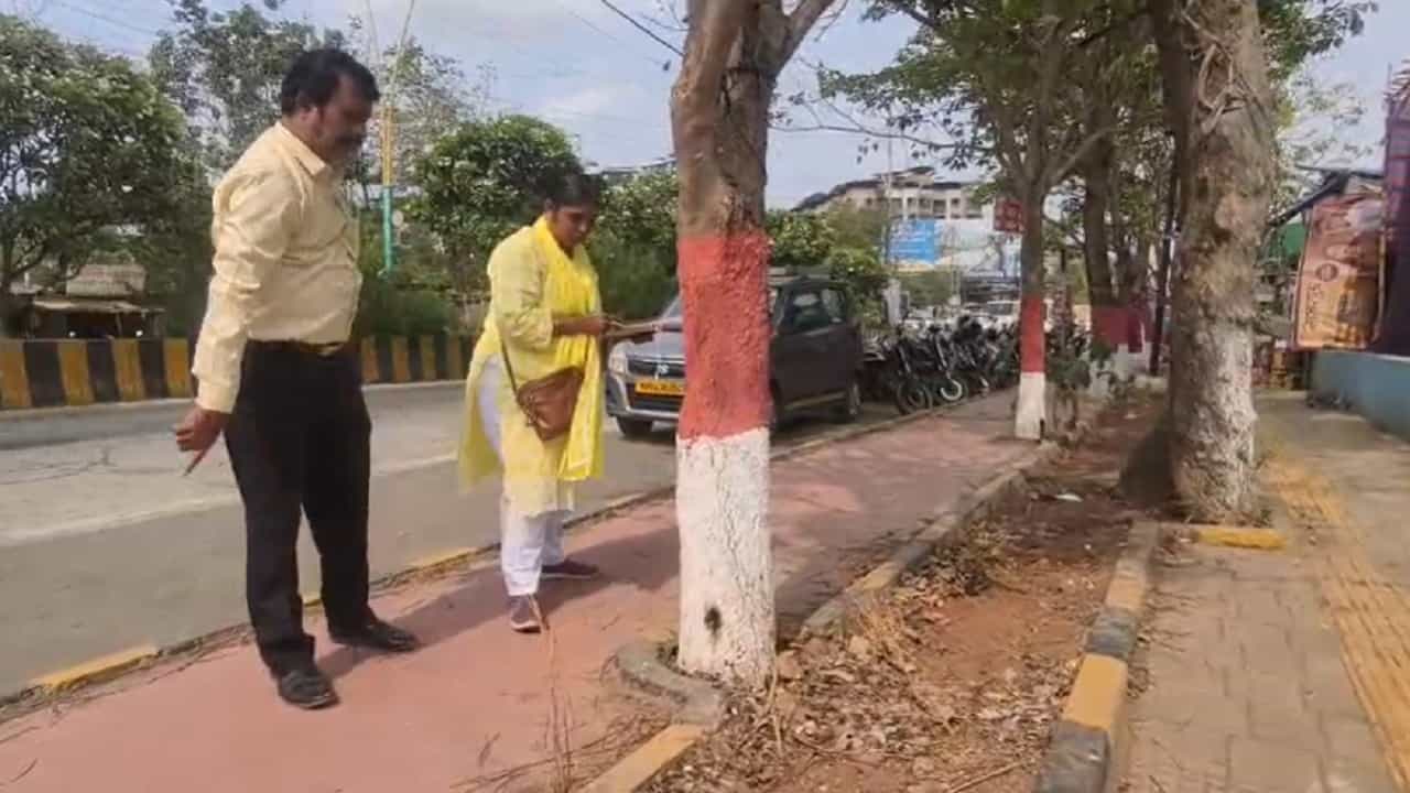 कल्याण शहराच्या सौंदर्यात भर घालणारी आणि वसंत ऋतूत गुलाबी-पिवळ्या फुलांनी रस्ते सुशोभित करणारी 'टेबेबुइया' (Tabebuia) झाडं सध्या मृत्यूच्या छायेत आहेत. कल्याण पश्चिमेतील अतिशय गजबजलेल्या गणपती चौक ते डीबी चौक दरम्यान एका अज्ञात आणि विकृत व्यक्तीने या झाडांवर जीवघेणा विषप्रयोग केल्याचा संशय व्यक्त होत आहे.