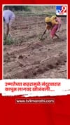 उष्णतेच्या कहरामुळे नंदुरबारात कापूस लागवड खोळंबली.