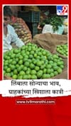 चाळीसगावात लिंबू महागले; 100 ते 120 रुपये किलो दराने विक्री.