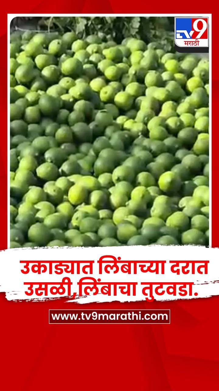 वाशिम - उकाड्यात लिंबाच्या दरात उसळी,लिंबाचा तुटवडा