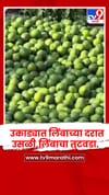 वाशिम - उकाड्यात लिंबाच्या दरात उसळी,लिंबाचा तुटवडा.