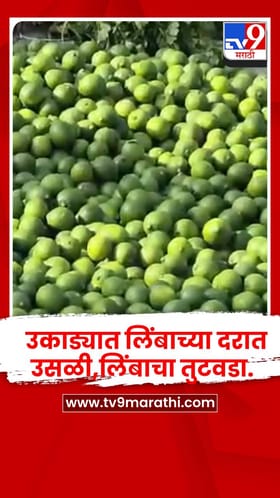 वाशिम - उकाड्यात लिंबाच्या दरात उसळी,लिंबाचा तुटवडा