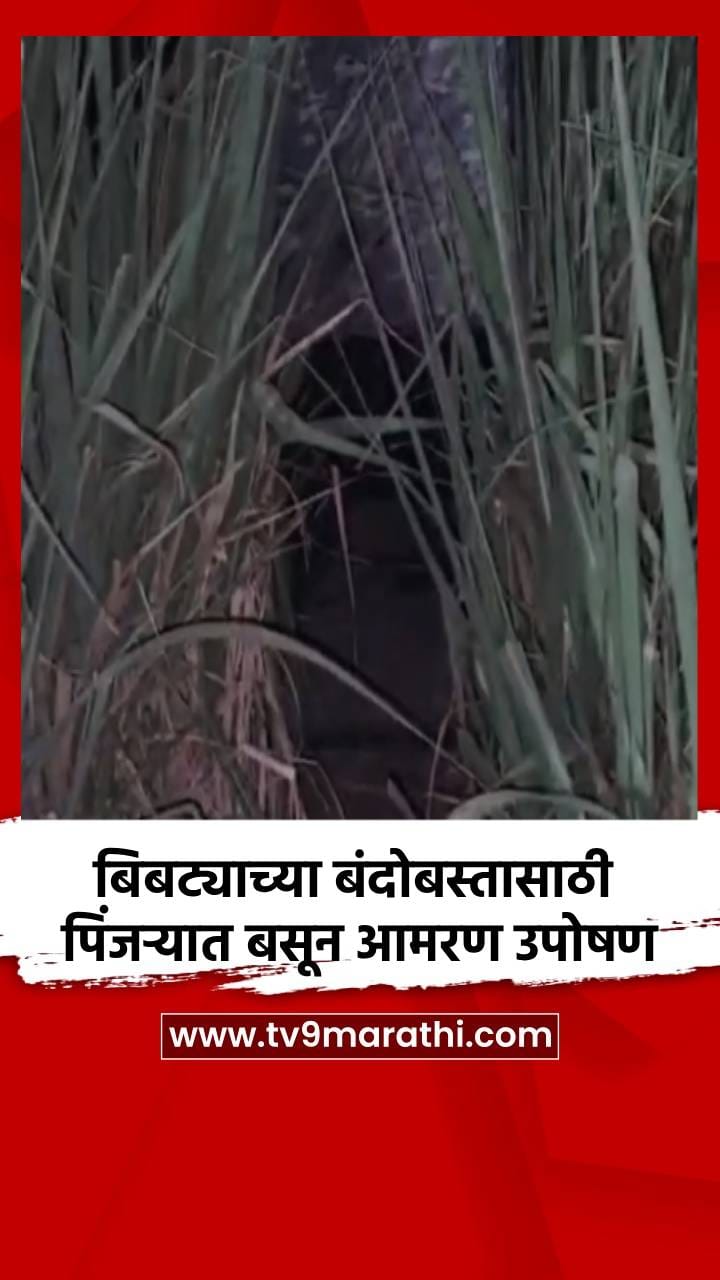बिबट्याच्या बंदोबस्तासाठी पिंजऱ्यात बसून आमरण उपोषण