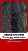 बिबट्याच्या बंदोबस्तासाठी पिंजऱ्यात बसून आमरण उपोषण.