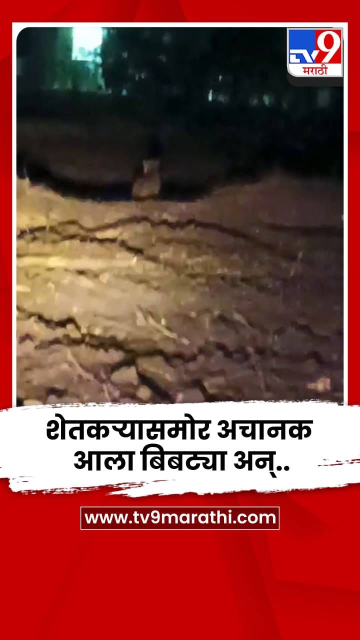 शेतीकाम करताना अचानक ट्रॅक्टरसमोर आला बिबट्या अन्..