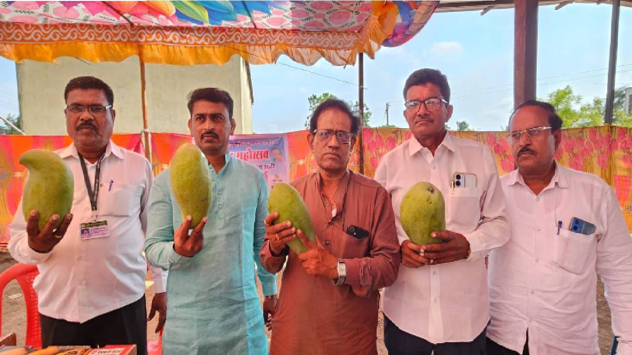 या आंबा महोत्सवाचे उद्घाटन काल करण्यात आले. हे प्रदर्शन पुढील चार दिवस चालू राहणार आहे. आटपाडी येथील शेतकऱ्याने माणदेशी या आंब्याचा वाण विकसित केला आहे. या आंब्याचे वाण शेतकऱ्यांमध्ये आणि ग्राहकाच्यात कुतुहुल चा विषय बनला आहे. शेतकरी चंद्रकांत देवकुते यांनी हा आंबा बाजारात विक्रीला आणला आहे. 