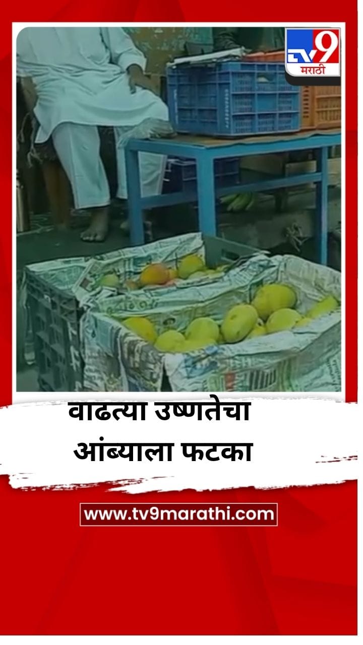 वाढत्या उष्णतेचा आंब्याला फटका, फळाची स्वस्त दराने विक्री