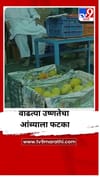 वाढत्या उष्णतेचा आंब्याला फटका, फळाची स्वस्त दराने विक्री.