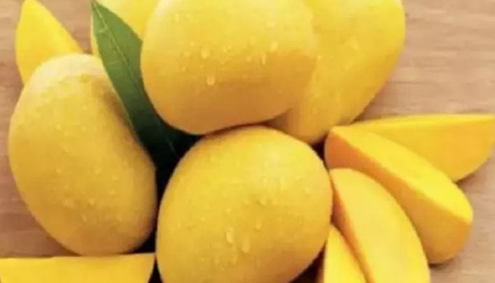 काही दिवसांपूर्वी कलिंगड खाल्ल्याने एका कुटुंबातील चार जणांचा मृत्यू झाल्याचे समोर आले होते. पुढे तपासानंतर त्या कुटुंबतील सदस्यांनी खाल्लेल्या कलिंगडात उंदीर मारणाऱ्या औषधात असलेल्या झिंक फॉस्पाईडचा अशं असल्याचे समोर आले होते. 