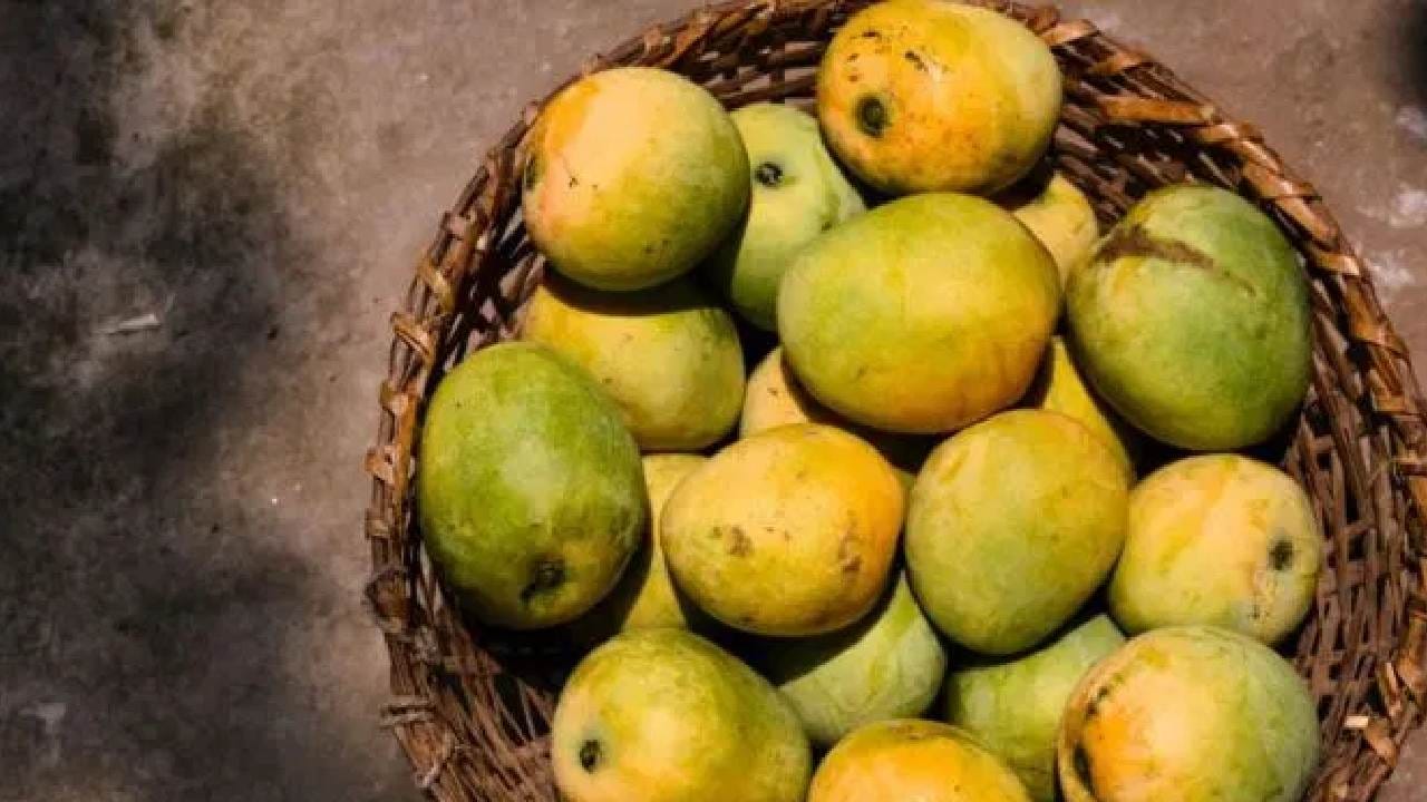 आंबे खात असाल तर सावधान, त्या केमिकलमुळे कलिंगड कांडची भीती; खळबळजनक माहिती समोर!
