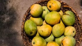 आंबे खात असाल तर सावधान, त्या केमिकलमुळे कलिंगड कांडची भीती!.