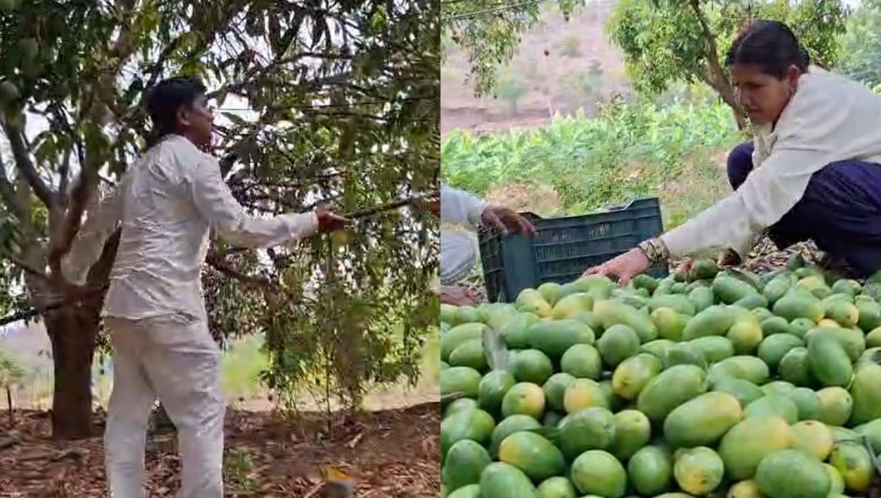 10 वर्षे घाम गाळला, डोंगरालाही पाझर फुटला; आता होतेय लाखोंची कमाई; नक्की काय घडलं?