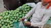 5 दिवसांनी पिकणारा आंबा पिकतोय फक्त 5 तासांत; ऑपरेशन मँगोमुळे खळबळ.