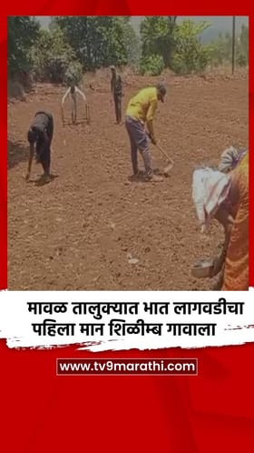 मावळ तालुक्यात भात लागवडीचा पहिला मान शिळीम्ब गावाला