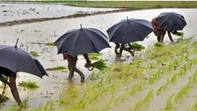 मान्सूनची सरकारी तारीख आली, CMO कार्यालयानेच थेट सांगितलं!.