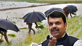 मान्सूनची सरकारी तारीख आली, CMO कार्यालयानेच थेट सांगितलं!.
