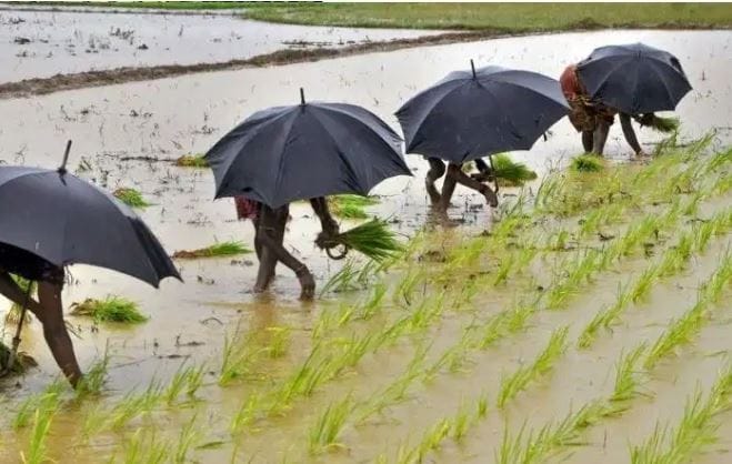 विदर्भ, मराठवाडा, मध्य महाराष्ट्र, खानदेश तसेच कोकणातील काही भागांत दुपारनंतर ढगाळ वातावरण आणि वादळी पावसाचा अंदाज व्यक्त करण्यात आला आहे. यामुळे तापमानात काही प्रमाणात घट होण्याची शक्यता आहे, असे मुख्यमंत्री कार्यालयाने सांगितले.