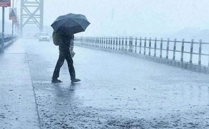 विजांच्या कडकडाटाच्या वेळी विशेष खबरदारी घ्यावी. झाडाखाली, टिनशेडखाली, वीज खांब, ट्रान्सफॉर्मर किंवा विद्युत वाहिन्यांच्या जवळ थांबणे टाळा. स्वतःची तसेच पाळीव जनावरांची सुरक्षितता सुनिश्चित करावी, असे आवाहन मुख्यमंत्री कार्यालयातर्फे करण्यात आले आहे.