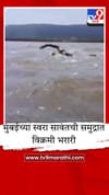 अरबी समुद्रात स्वरा सावंतचा ऐतिहासिक पराक्रम; 9 तास 39 मिनिटांत 40 किमी अंतर पार.