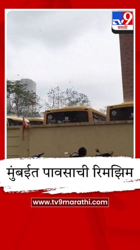 मुंबईत मान्सूनपूर्व सरी; दादर, बांद्रासह अनेक भागांत रिमझिम पाऊस
