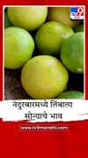नंदुरबारमध्ये लिंबाला सोन्याचे भाव, कडक उन्हामुळे मागणी वाढली.