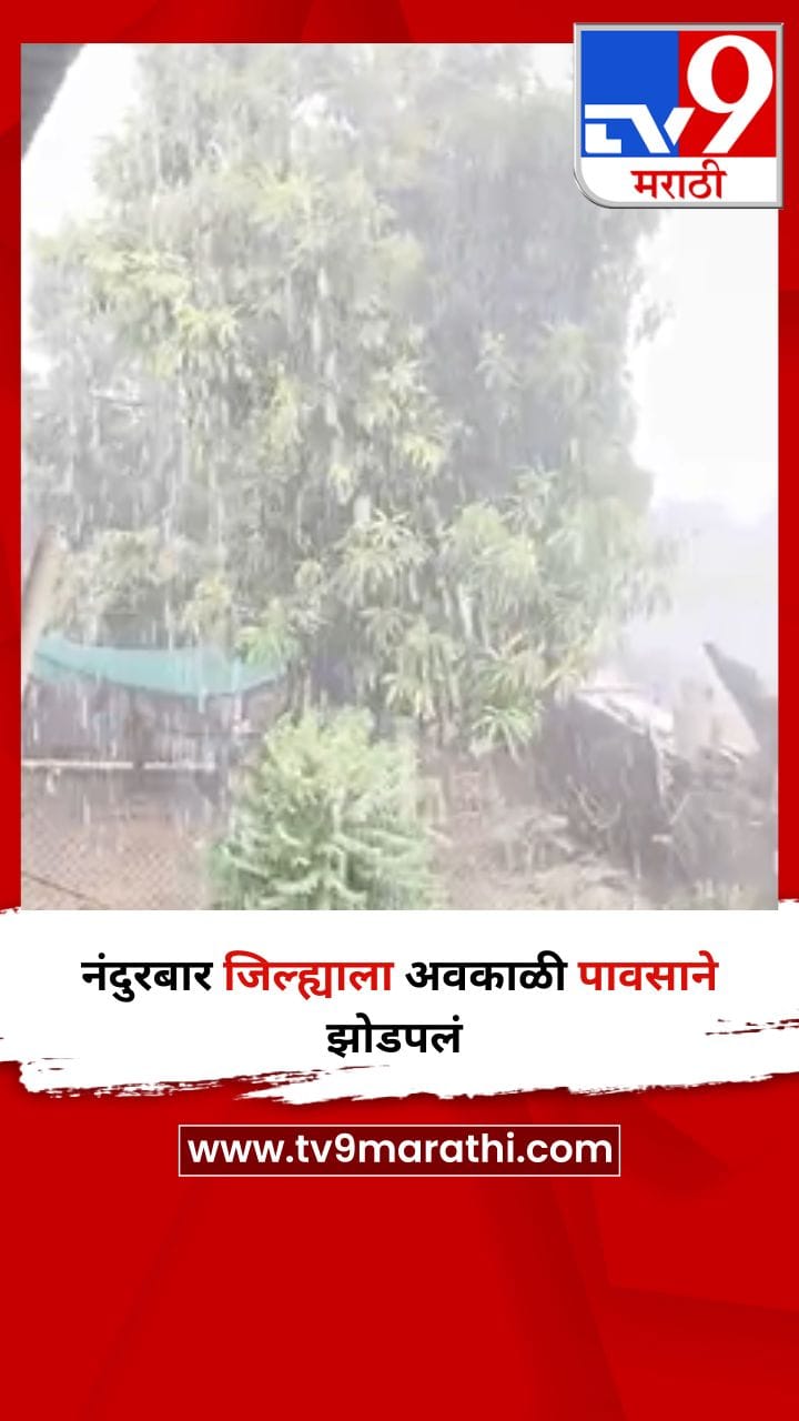 नंदुरबार जिल्ह्याला अवकाळी पावसाने झोडपलं