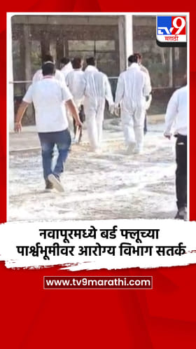 नवापूरमध्ये बर्ड फ्लूच्या पार्श्वभूमीवर आरोग्य विभाग सतर्क