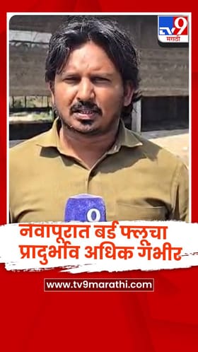 नवापूरात बर्ड फ्लूचा प्रादुर्भाव गंभीर, अडीच लाखांहून अधिक पक्ष्यांचे  किलिंग