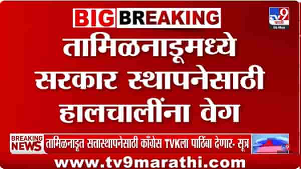 मोठी बातमी! तामिळनाडूमध्ये सत्ता स्थापनेच्या हालचालींना वेग, TVK ने सर्व 108 आमदारांना हॉटेलमध्ये ठेवलं