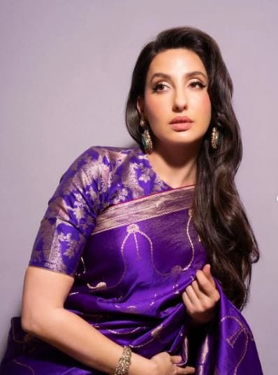 सरके चुनरिया हे व्हिडीओ साँग या गाण्यातील हिंदी भाषेतील शब्द खूपच आक्षेपार्ह होते. या गाण्याचे लिरिक्स द्विअर्थी असल्याने त्याल प्रचंड विरोध झाला होता. विशेष म्हणजे त्यात प्रसिद्ध अभिनेता संजय दत्त हादेखील होता. 