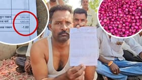 1 टन कांदा विकला, मिळाले शून्य रुपये; व्यापाऱ्यानेच वसूल केला 1 रुपया!.