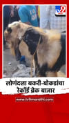 लोणंदला बकरी-बोकडाचा रेकॉर्ड ब्रेक बाजार.