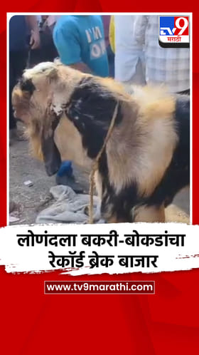 लोणंदला बकरी-बोकडाचा रेकॉर्ड ब्रेक बाजार