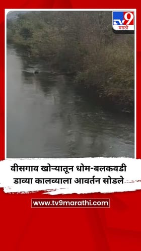 वीसगाव खोऱ्यातून धोम-बलकवडी डाव्या कालव्याला आवर्तन सोडले
