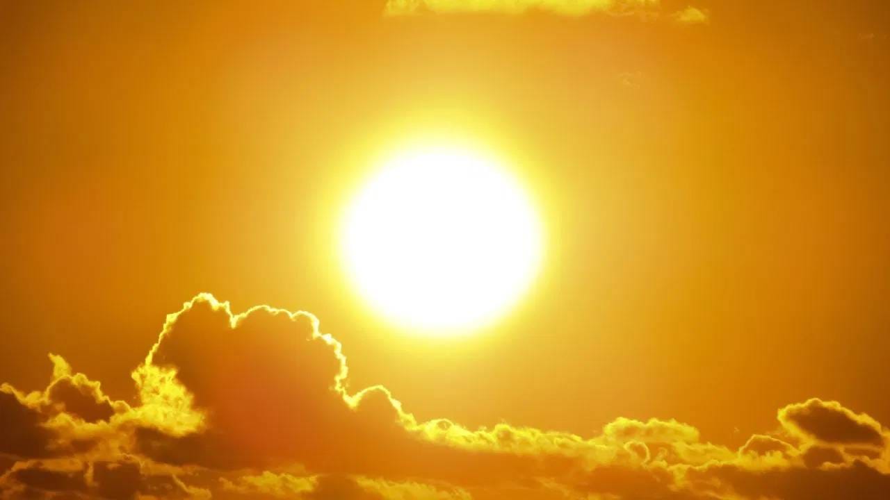 उन्हाळ्यात जवळजवळ प्रत्येक घरात टॅल्कम पावडर वापरली जाते. घाम जावा, फ्रेश वाटावं, शरीराची दुर्गंधी कमी व्हावी यासाठी बहुतेक लोकं टॅल्कम पावडर वापरतात. पण टॅल्कम पावडरचा उपयोग केवळ त्वचेच्या काळजीपुरता मर्यादित नाही. तिच्या मदतीने दैनंदिन जीवनातील अनेक लहान समस्या सहजपणे सोडवता येतात. विशेषतः उन्हाळ्यात, या पावडरच्या काही स्मार्ट ट्रिक्स खूप उपयुक्त ठरू शकतात.