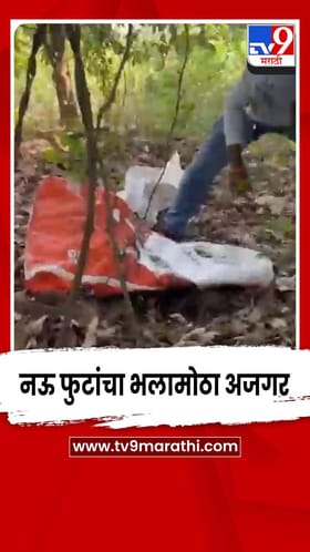 बदलापूरच्या बार्वी धरणाजवळील फार्महाऊसवर आढळला नऊ फुटांचा भलामोठा अजगर