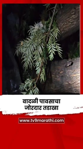 वादळी पावसाचा जोरदार तडाखा