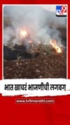 पुण्याच्या भोर तालुक्यातील ग्रामीण भागात भात खाचरं भाजणीची लगबग.