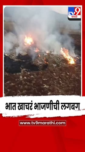 पुण्याच्या भोर तालुक्यातील ग्रामीण भागात भात खाचरं भाजणीची लगबग